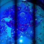 Paradise Club Naturist Spa